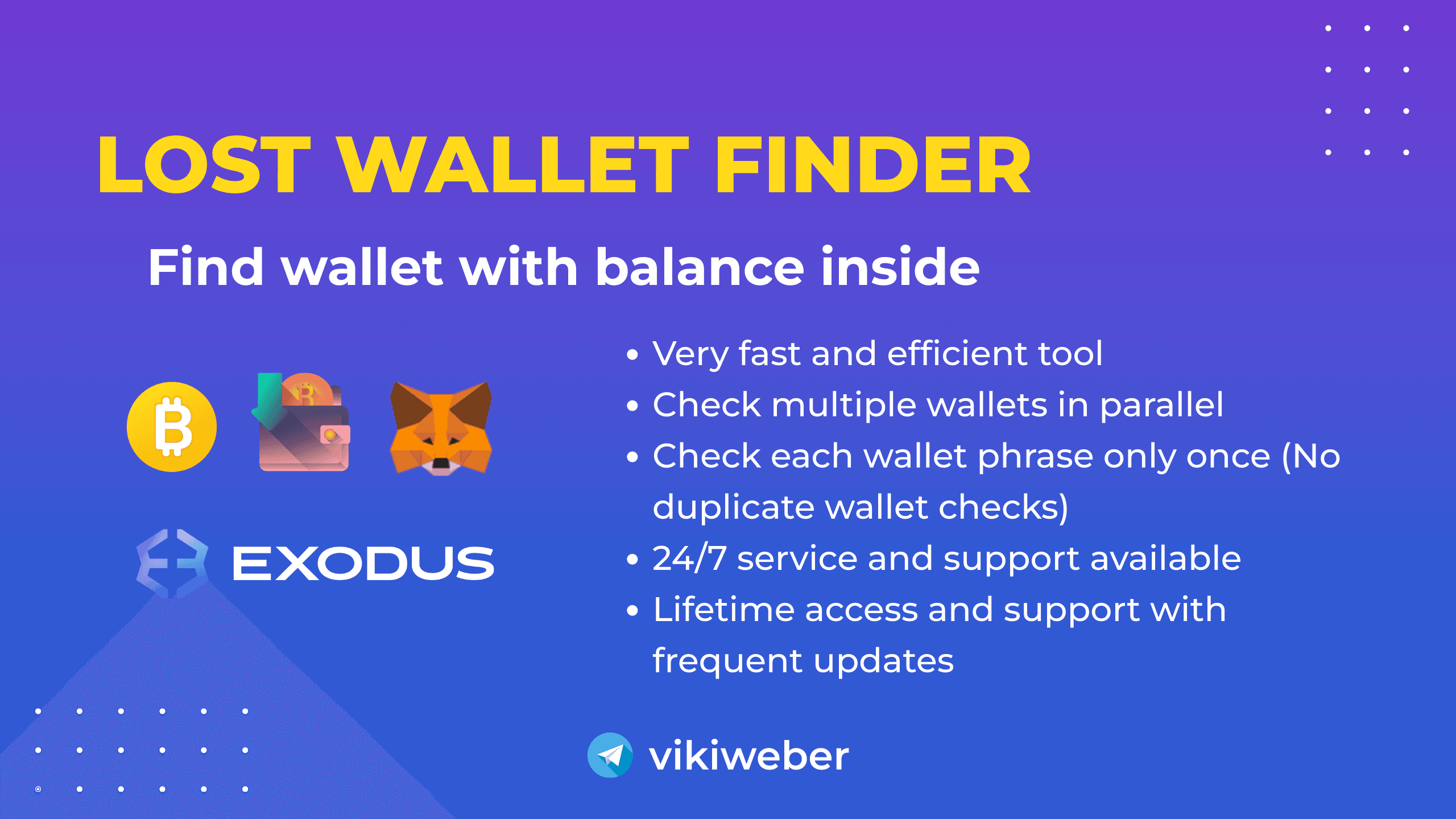 Lost Crypto Wallet Finder Tool | Recover Lost Crypto Wallet - Professional screenshot 1